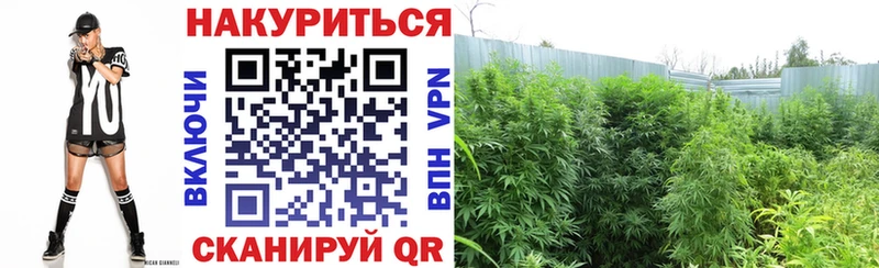 Виды наркоты Советск APVP  Меф мяу мяу  hydra маркетплейс  Гашиш 
