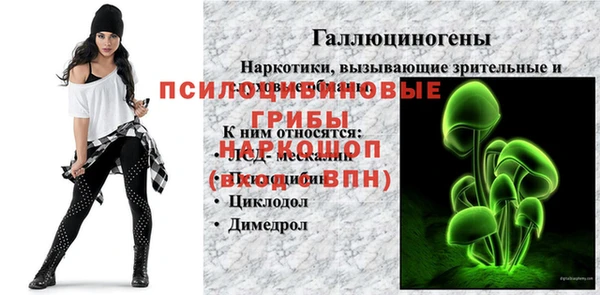 PSILOCYBIN Арсеньев