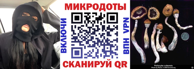 Галлюциногенные грибы GOLDEN TEACHER  Советск 